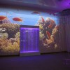 Проекционный дизайн "Виртуальная реальность" базовый комплект 500 анимаций - «globural.ru» - Апрелевка