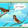 Интерактивное развивающее пособие "Говорящие картинки. Слушаем и повторяем" - «globural.ru» - Апрелевка