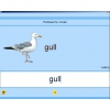Английский язык. Освоение клавиатуры - «globural.ru» - Апрелевка