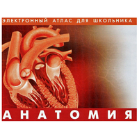 Анатомия. (Цифровой атлас школьника) - «globural.ru» - Апрелевка