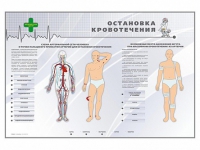 Электрифицированный стенд "Остановка кровотечения" - «globural.ru» - Апрелевка