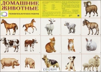 Демонстрационные карточки "Домашние животные" - «globural.ru» - Апрелевка