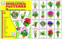 Демонстрационные карточки "Комнатные растения" - «globural.ru» - Апрелевка