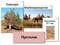Модель-аппликация "Природные зоны России" - «globural.ru» - Апрелевка