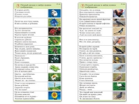 Комплект карточек (10) "Обучающий калейдоскоп. Природа" - «globural.ru» - Апрелевка