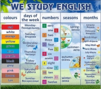 Стенд "We study english" - «globural.ru» - Апрелевка