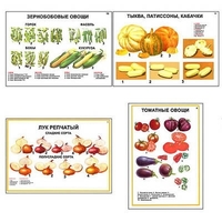 Плакаты ПРОФТЕХ "Ассортимент овощных культур" (12 пл, винил, 70х100) - «globural.ru» - Апрелевка