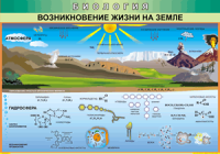 Таблица Возникновение жизни на Земле 1000*1400 винил - «globural.ru» - Апрелевка
