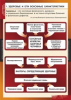 ОБЖ Здоровый образ жизни (комплект таблиц) - «globural.ru» - Апрелевка