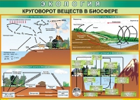 Таблица Круговорот веществ в биосфере 1000*700 винил - «globural.ru» - Апрелевка