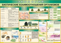Таблица Биотические взаимоотношения организмов 1000*700 (винил) - «globural.ru» - Апрелевка
