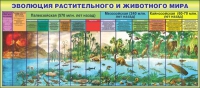 Стенд "Эволюция растительного и животного мира" - «globural.ru» - Апрелевка