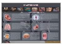 Стенд "Курение" (вариант 1) - «globural.ru» - Апрелевка