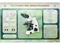 Электрифицированный стенд "Устройство микроскопа и правила работы c ним" - «globural.ru» - Апрелевка