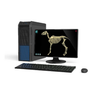 Макет масштабный «Скелет Лошади» Масштаб 1:2 - «globural.ru» - Апрелевка