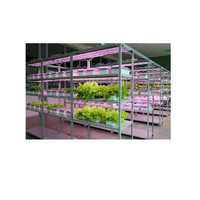 Обучающий комплект "АГРОкласс" - «globural.ru» - Апрелевка