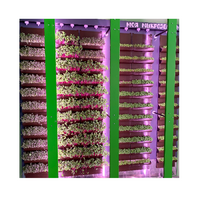 Вертикальная ферма "Моя Микрозелень" комплектация Школьная - «globural.ru» - Апрелевка