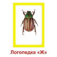 Логопедка "Ж" (логопедические карточки) - «globural.ru» - Апрелевка