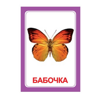 Логопедка "Ч" (логопедические карточки) - «globural.ru» - Апрелевка