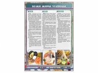 Стенд "Белки. Жиры. Углеводы" - «globural.ru» - Апрелевка