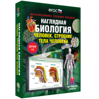 Наглядная биология. Человек. Строение тела человека - «globural.ru» - Апрелевка
