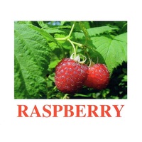"Berries-1" ("Ягоды-1") английские карточки Домана - «globural.ru» - Апрелевка