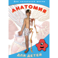 DVD  Анатомия для детей - «globural.ru» - Апрелевка