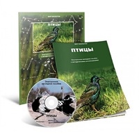 Электронное наглядное пособие «Птицы» - «globural.ru» - Апрелевка