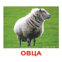 .Карточки Домана "Домашние животные" - «globural.ru» - Апрелевка
