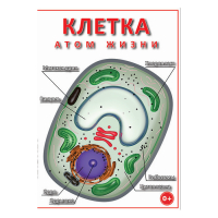 DVD Клетка - "атом жизни" - «globural.ru» - Апрелевка
