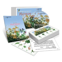 Комбинированное наглядное пособие «Растения» - «globural.ru» - Апрелевка