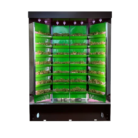 Вертикальная ферма "Моя Микрозелень" комплектация "Театро настольная" - «globural.ru» - Апрелевка