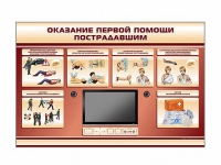 Многофункциональный интерактивный стенд-тренажер "Оказание первой помощи пострадавшим" для учащихся общеобразовательных учреждений - «globural.ru» - Апрелевка