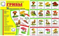 Демонстрационные карточки  "Грибы съедобные и не съедобные" - «globural.ru» - Апрелевка