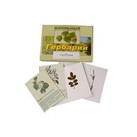 Гербарий "Деревья и кустарники" (22 вида, с иллюстрациями) - «globural.ru» - Апрелевка