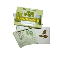 Гербарий "Дикорастущие растения" (30 видов, с иллюстрациями) - «globural.ru» - Апрелевка