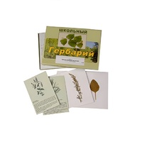 Гербарий "Лекарственные растения" (22 вида, с иллюстрациями) - «globural.ru» - Апрелевка