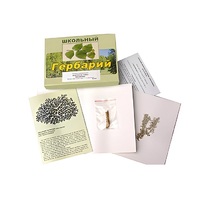 Гербарий "Водоросли. Грибы. Лишайники" (раздаточный) - «globural.ru» - Апрелевка