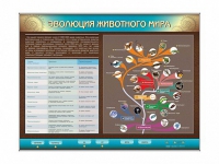Интерактивный электрифицированный стенд "Эволюция животного мира" - «globural.ru» - Апрелевка