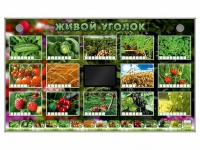 Комплект оборудования "Живой уголок" (растения) - «globural.ru» - Апрелевка