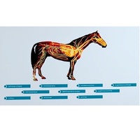 Стенд-планшет светодинамический "Изучение кровеносной системы сельскохозяйственных животных" со сменными панелями - «globural.ru» - Апрелевка