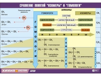 Таблица демонстрационная "Сравнение понятий изомер и гомолог" (винил 70x100) - «globural.ru» - Апрелевка
