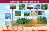 Таблица демонстрационная "Смена природных зон от полюсов к экватору" (винил 70x100) - «globural.ru» - Апрелевка
