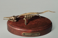 Модель скелета ихтиозавра Ichthyosaurus - «globural.ru» - Апрелевка