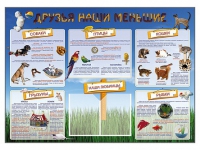 Стенд-уголок "Друзья наши меньшие" - «globural.ru» - Апрелевка