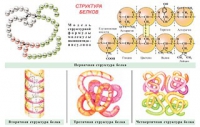 Плакаты и таблицы по общей химии - «globural.ru» - Апрелевка
