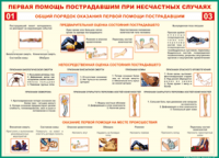  Таблица Общий порядок оказания первой помощи пострадавшим 1000*1400 винил	 - «globural.ru» - Апрелевка