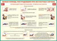Таблица Порядок действий при ранениях и термических ожогах	 1000*1400 винил - «globural.ru» - Апрелевка