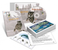 Комбинированное наглядное пособие «Животные» - «globural.ru» - Апрелевка
