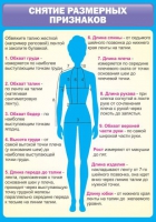 Стенд "Снятие мерок" (вариант 2) - «globural.ru» - Апрелевка